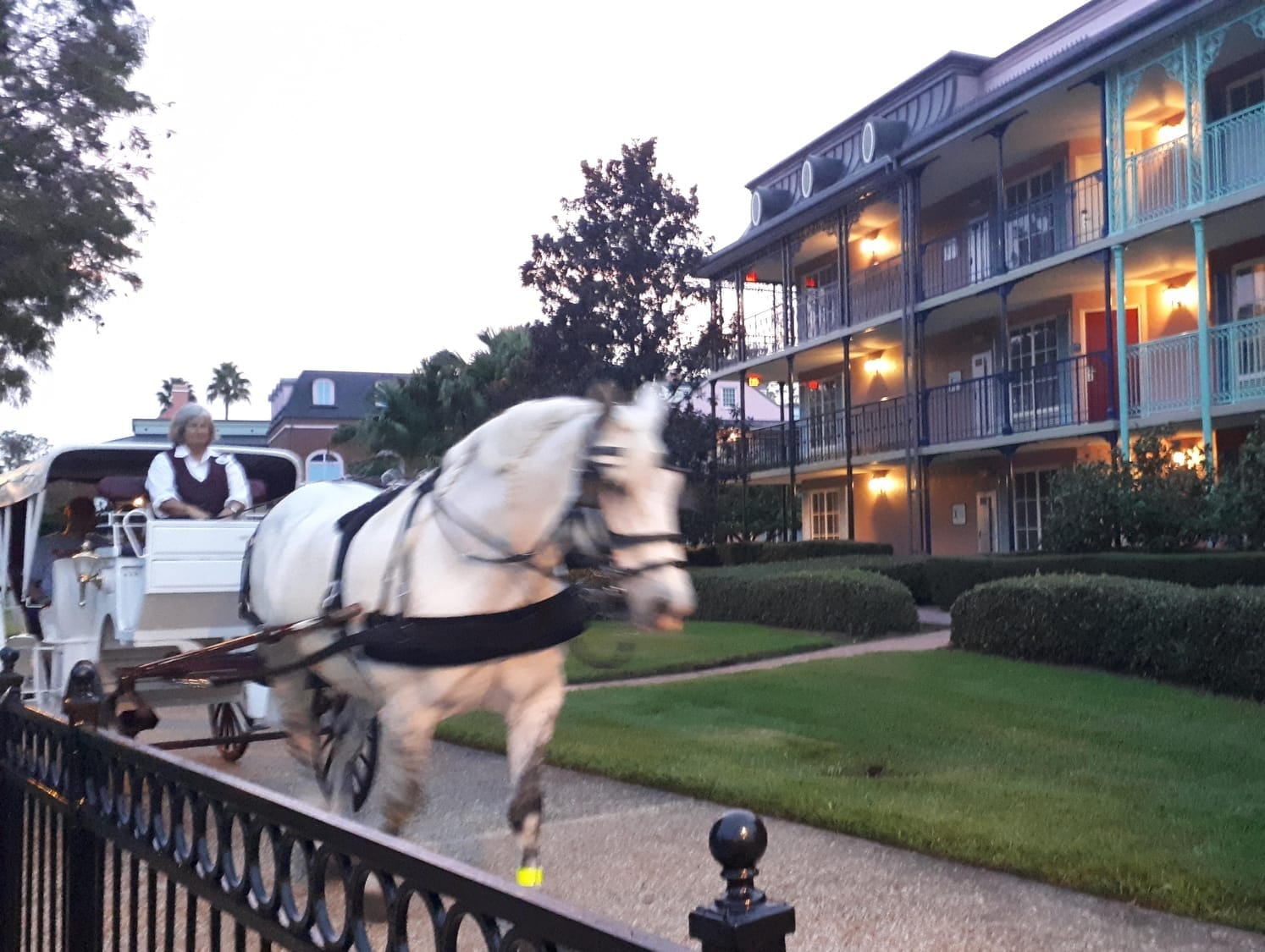 Why guests love Disney’s Port Orleans French Quarter Resort