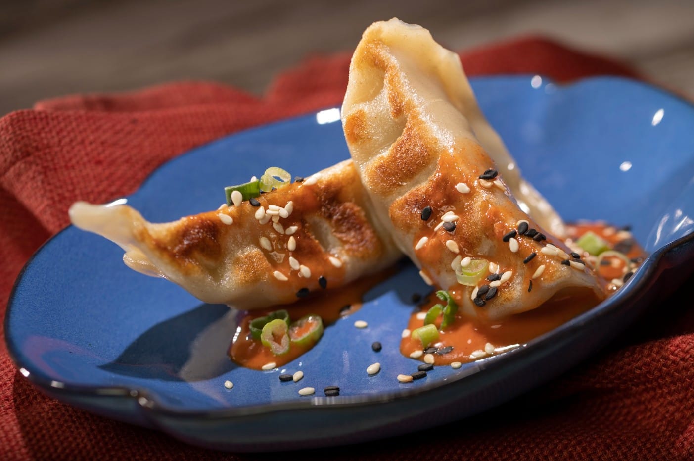 Chicken dumplings at EPCOT Food & Wine 2025