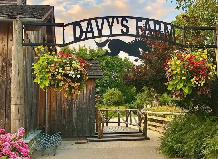 Davy's Farm, one part of the Davy Crockett Ranch for guests to explore