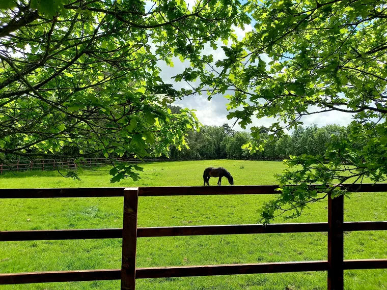 Ireland's National Stud & Gardens